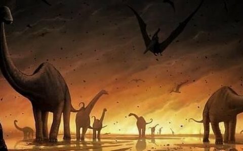 生物大灭绝为什么恐龙那么有名