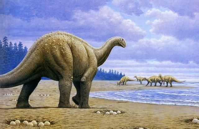 生物大灭绝为什么恐龙那么有名图5