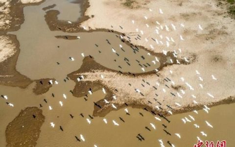鄱阳湖为什么提前100天进入枯水期