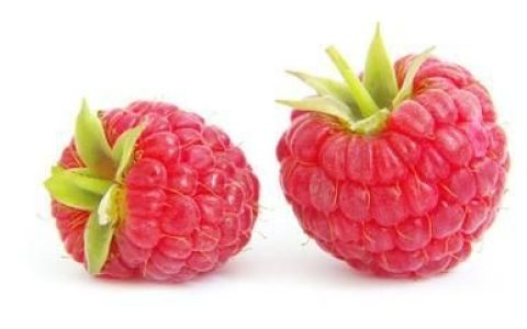 树莓如何种植,树莓如何种植和管理