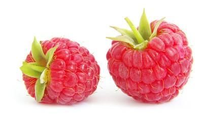 树莓如何种植,树莓如何种植和管理图1