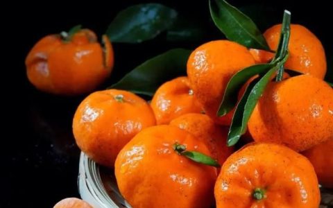 橘子桔子橙子有什么区别,橘子与橙子的区别是什么