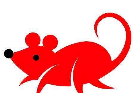 关于老鼠的真实怪事,盘点人类遇到老鼠的反应图1