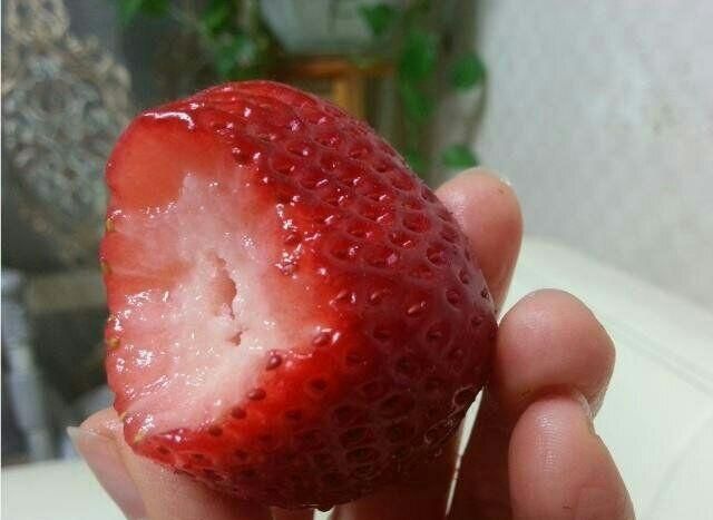 有的草莓为什么是空心的图1