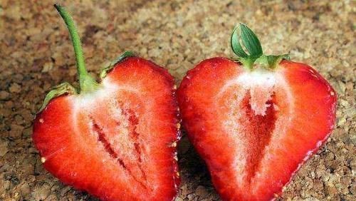 有的草莓为什么是空心的图4
