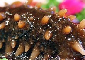 新鲜海参怎么做好吃又简单方便,新鲜海参的正确煮法图2