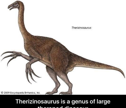 镰刀龙到底是食肉恐龙还是食草恐龙图1