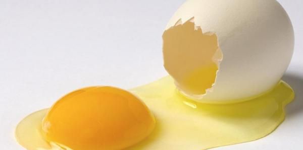 蛋黄大好还是蛋黄小好,黄蛋黄大好还是小好图1