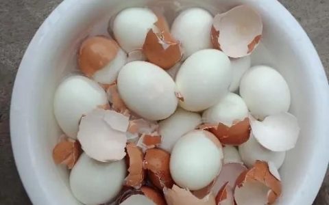 冷水煮鸡蛋好还是热水煮鸡蛋好,煮鸡蛋冷水下锅还是热水好脱壳
