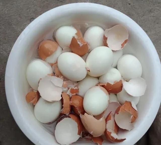 冷水煮鸡蛋好还是热水煮鸡蛋好,煮鸡蛋冷水下锅还是热水好脱壳图1