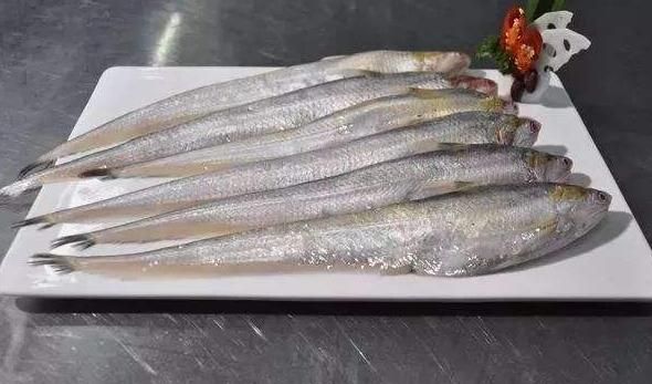 刀鱼和带鱼有何区别,秋刀鱼和带鱼的区别图17