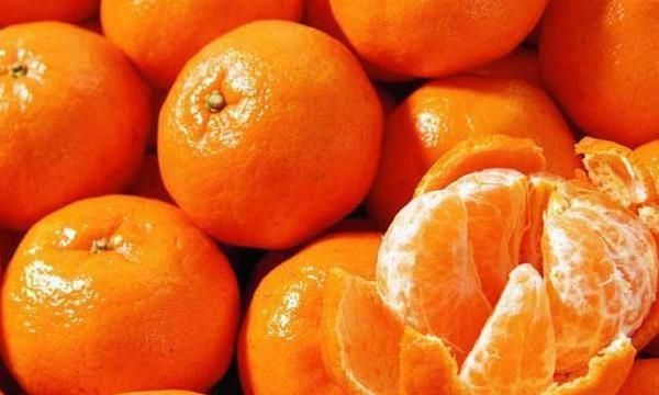 怎样种出来的橘子甜呢图5