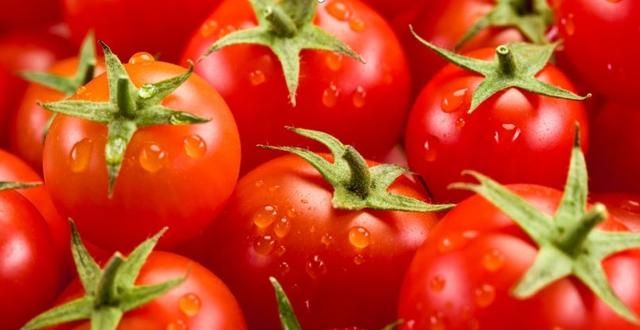 西红柿怎么吃最有营养价值,西红柿营养成分含量表图2