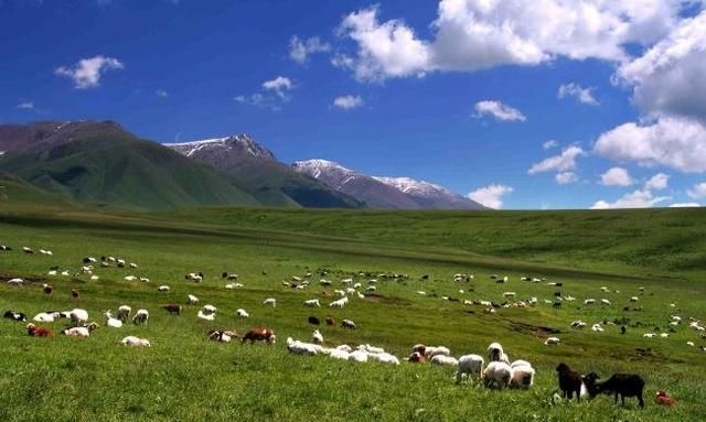 新疆的巴州什么地方最好玩的图2