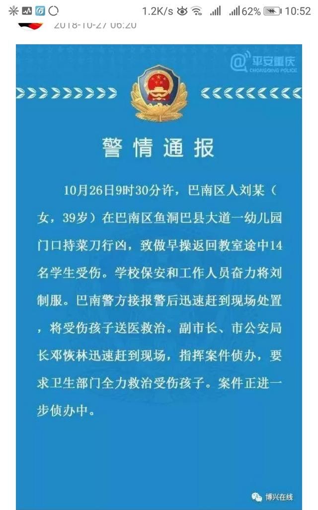 重庆幼儿园砍伤事件后续,重庆幼儿园砍人怎么宣判的图1