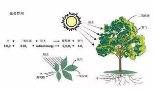 为什么世界上有那么多坏人(碳基生物为什么那么脆弱)图10