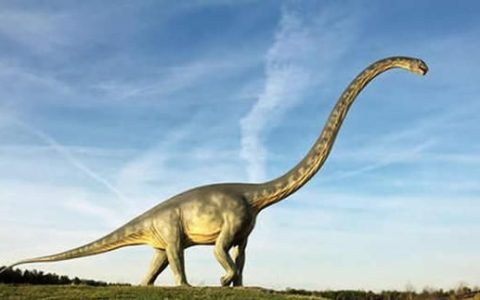 为什么恐龙都是长脖子