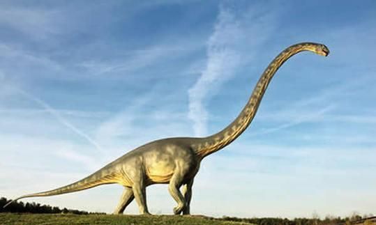为什么恐龙都是长脖子图1