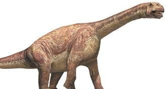为什么恐龙都是长脖子图3