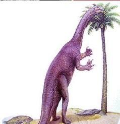 为什么恐龙都是长脖子图5