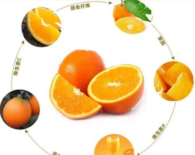 中国哪里的脐橙最好,哪里的伦晚脐橙最好图2