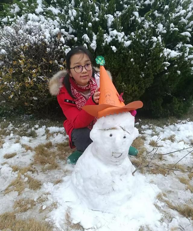 你喜欢下雪吗(喜欢下雪的感觉)图4