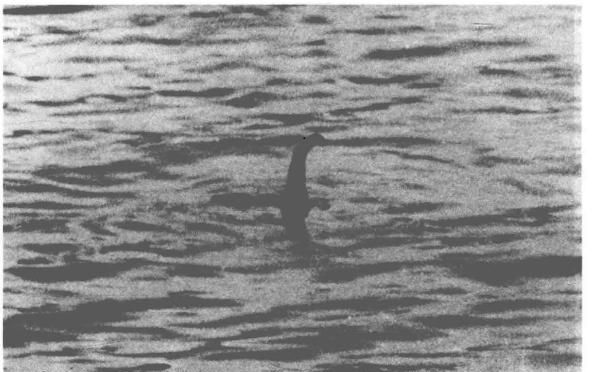 1933年后出现的“尼斯湖水怪”，真相到底是怎样的图2