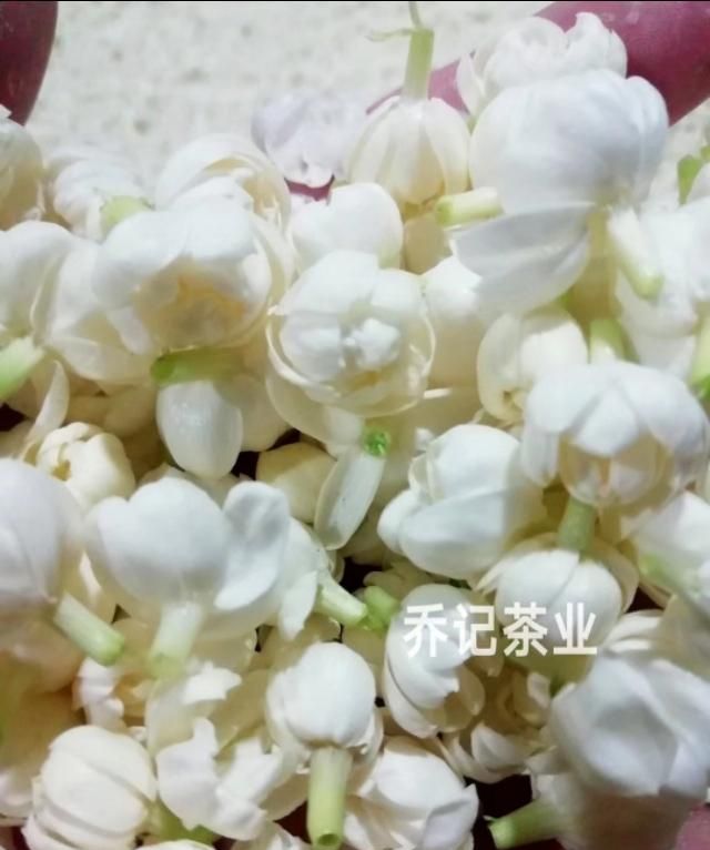 花茶和茉莉花茶的区别是什么(茉莉花茶是红茶还是绿茶求回答)图7