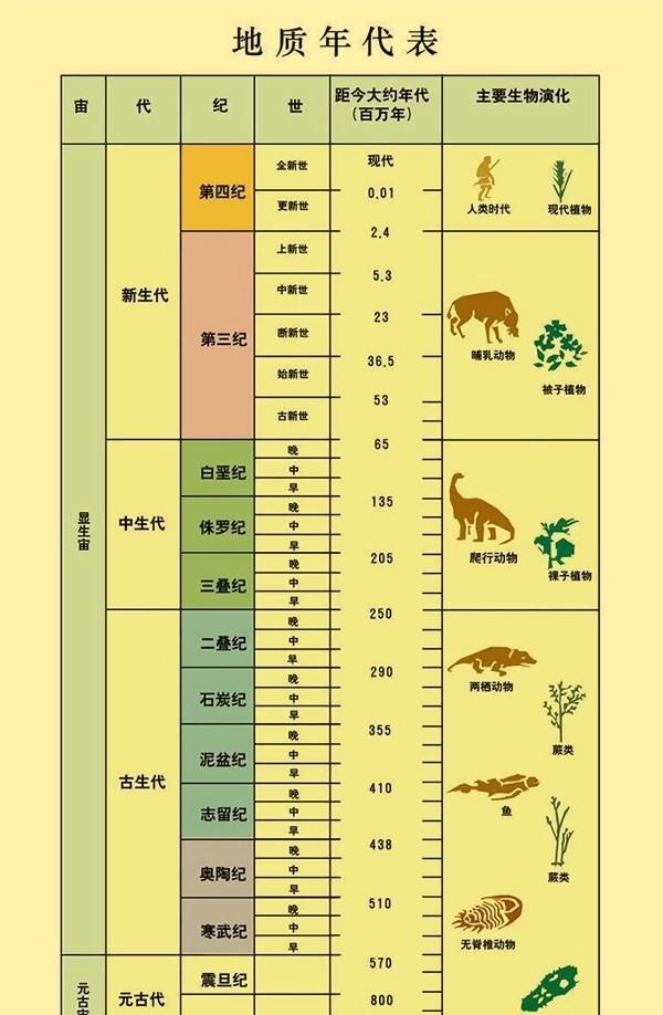 人类都有什么细思极恐的细节(人类有什么细思极恐的行为)图12