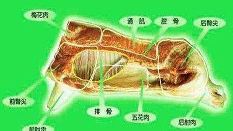 五花肉到底是哪一块肉啊(五花肉和肋条肉是一块肉吗)图4