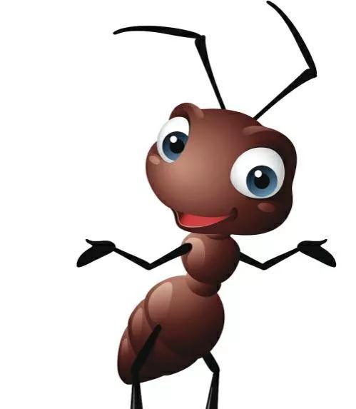 假如蚁后死了剩下的蚂蚁会怎样图2