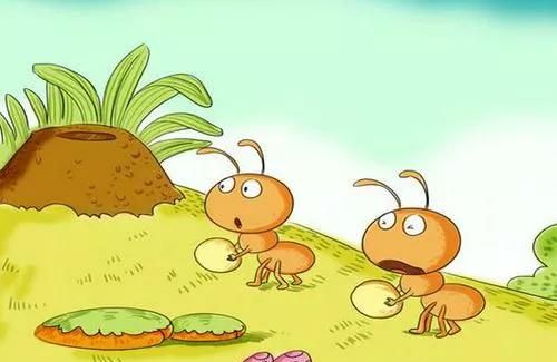 假如蚁后死了剩下的蚂蚁会怎样图9