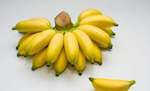 香蕉和芭蕉怎么区别(香蕉和芭蕉怎么区别图片)图2