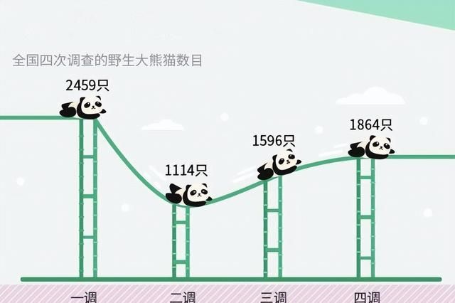 大熊猫生活在什么地方图2