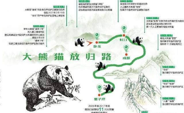 大熊猫生活在什么地方图6