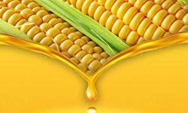 玉米可以榨油吗(玉米榨油工艺流程)图2