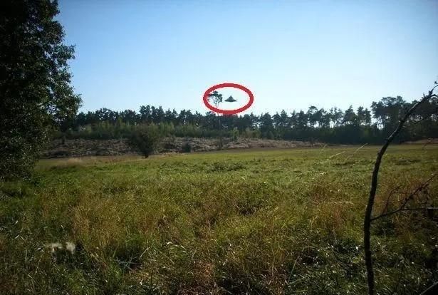 如何看待波兰男子拍到ufo图2