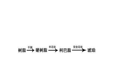 什么是琥珀(什么是琥珀鱼竿)图1