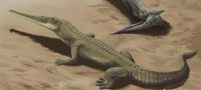 侏罗纪跟白垩纪有什么区别?不都是恐龙时代吗图2