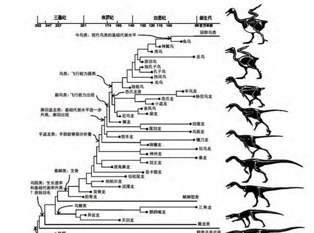 侏罗纪跟白垩纪有什么区别?不都是恐龙时代吗图8