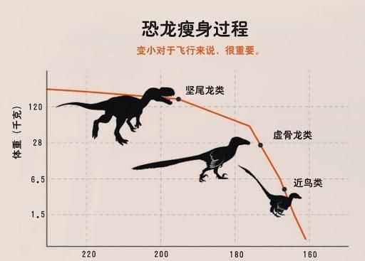 侏罗纪跟白垩纪有什么区别?不都是恐龙时代吗图15