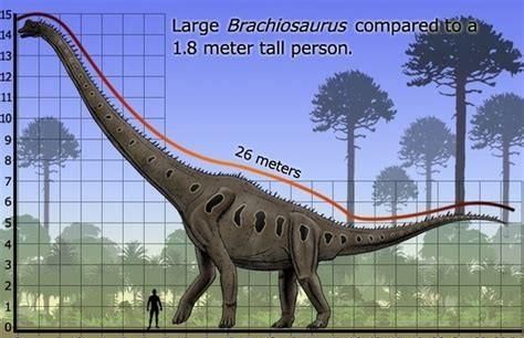 侏罗纪跟白垩纪有什么区别?不都是恐龙时代吗图17