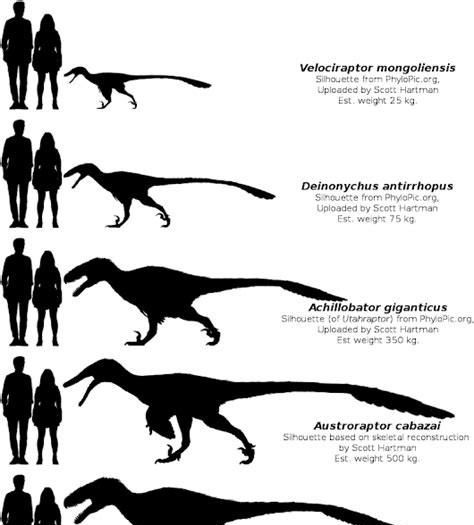 侏罗纪跟白垩纪有什么区别?不都是恐龙时代吗图18