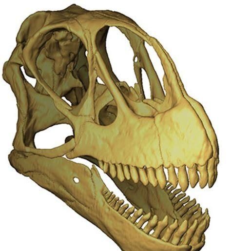 侏罗纪跟白垩纪有什么区别?不都是恐龙时代吗图19
