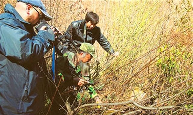 神农架野人之谜真实事件(神农架野人之谜人们误闯野人禁地)图9