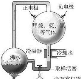 人和动物共同的根脉是什么,人和动物脉象区别图6