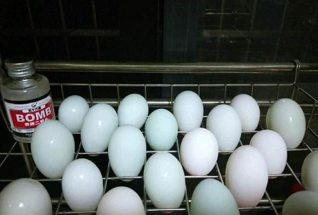 鸡蛋要煮多久才好图7