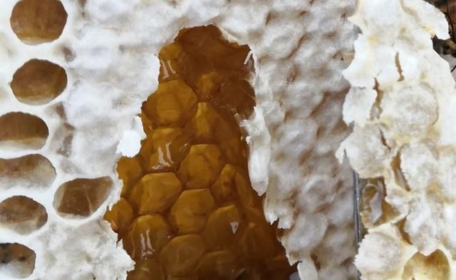 蜂蜜放冰箱结晶了是真的么,放冰箱的蜂蜜不结晶是假的吗图1
