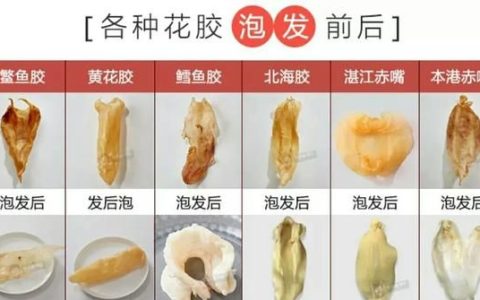 鱼胶要泡多久,鱼胶泡发后可以保存多久