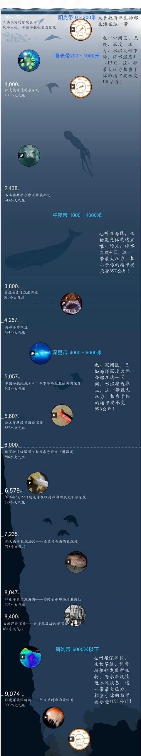 海底一万米到底有多恐怖?说出来你可能不信图7